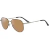 Gafas de sol Serengeti HAYWOOD SS543001