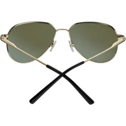 Gafas de sol Serengeti HAYWOOD SMALL SS544003