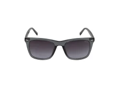 Gafas de sol Sting ROOTS 1 SST456