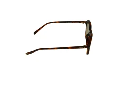 Gafas de sol Sting SST364