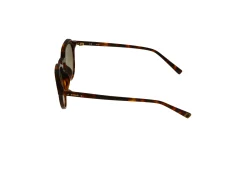 Gafas de sol Sting SST364