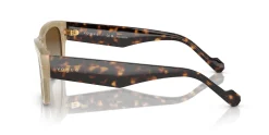 Gafas de sol Vogue 0VO5530S