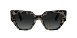 Gafas de sol Vogue 0VO5409S
