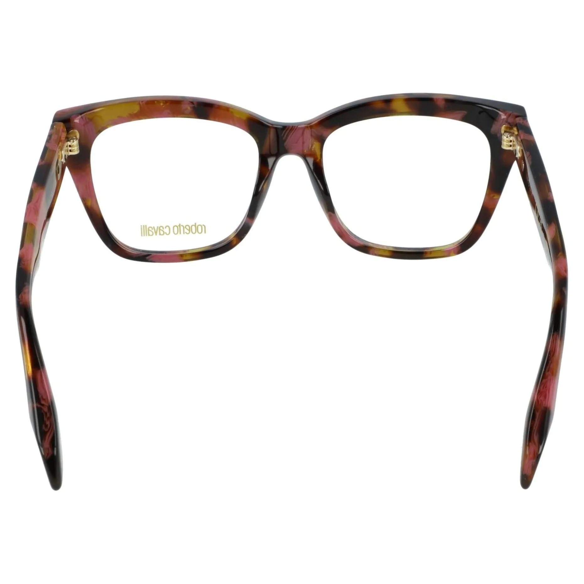 Gafas graduadas Roberto Cavalli VRC116M