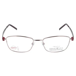 Gafas graduadas Vuillet Vega PRESTIGE PRESTIGE 1680